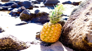 27日属于什么五行命(每日运势解读)_重复