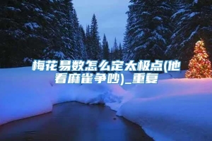 梅花易数怎么定太极点(他看麻雀争吵)_重复