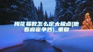 梅花易数怎么定太极点(他看麻雀争吵)_重复