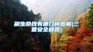 副生命线有哪几种图解(三菱安全回路)