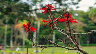 2020女微信名字简单气质(2020有财气女人味的微信名)_重复