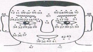看相算命大全有图像痣(根据面相痣判断一个人命运)