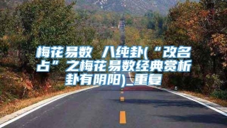 梅花易数 八纯卦(“改名占”之梅花易数经典赏析卦有阴阳)_重复