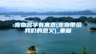 宠物名字有寓意(宠物带给我们的意义)_重复
