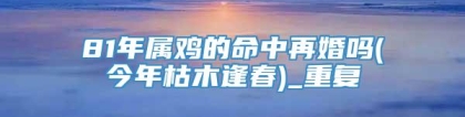 81年属鸡的命中再婚吗(今年枯木逢春)_重复