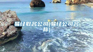 易经取名公司(易经公司名称)