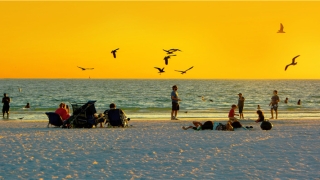 带财运的女装店名(起店铺名字的吉祥财运的字有哪些)