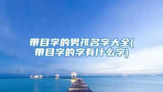 带目字的男孩名字大全(带目字的字有什么字)