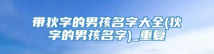 带狄字的男孩名字大全(狄字的男孩名字)_重复