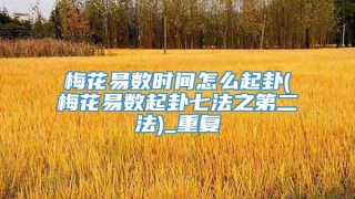 梅花易数时间怎么起卦(梅花易数起卦七法之第二法)_重复