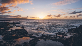 臭名远扬的意思(臭名远扬的意思解释一下)