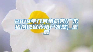 2019年几月猪命苦(广东猪肉便宜养殖户发愁)_重复