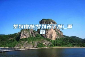 梦到撸猫(梦到养了猫)_重复
