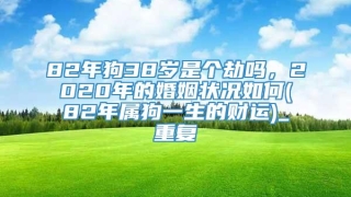 82年狗38岁是个劫吗，2020年的婚姻状况如何(82年属狗一生的财运)_重复