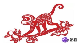 男人面相学的奥秘