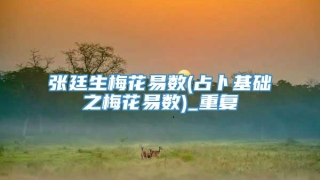 张廷生梅花易数(占卜基础之梅花易数)_重复