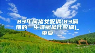 83年属猪女配偶(83属猪的一生婚姻最佳配偶)_重复