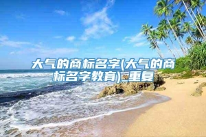 大气的商标名字(大气的商标名字教育)_重复