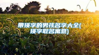 带瑛字的男孩名字大全(瑛字取名寓意)