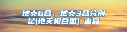 地支6合、地支3合分别是(地支相合图)_重复