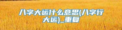 八字大运什么意思(八字行大运)_重复
