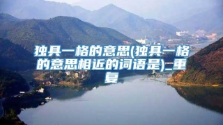 独具一格的意思(独具一格的意思相近的词语是)_重复
