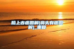 脸上吉痣图解(鼻头有痣图解)_重复