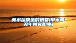 癸水是庚金的伤官(甲木辛丑年财官相生)