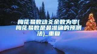 梅花易数动爻余数为零(梅花易数是最准确的预测法)_重复