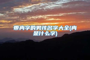 带冉字的男孩名字大全(冉是什么字)