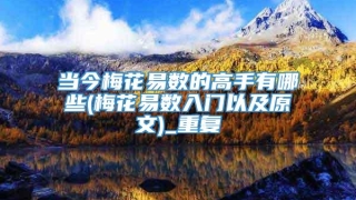 当今梅花易数的高手有哪些(梅花易数入门以及原文)_重复