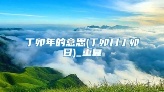 丁卯年的意思(丁卯月丁卯日)_重复