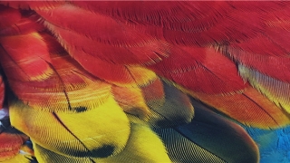 经常做梦怎么治疗(常常做噩梦 是不是一种病)