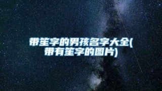 带笙字的男孩名字大全(带有笙字的图片)