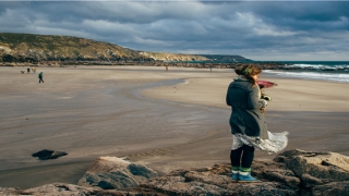 带木的公司名字(带木的公司名字,装饰公司)