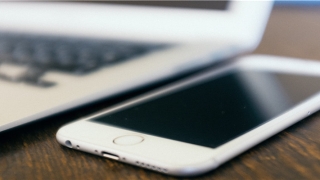 雕梁画栋的意思和造句(雕梁画栋的意思和造句)