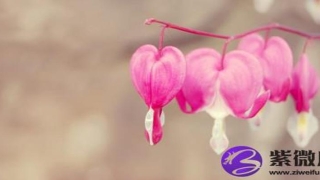 炉中火和沙中土合不合？会相克吗