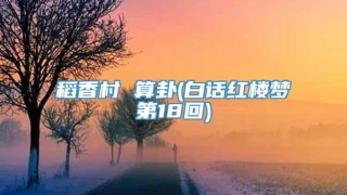 稻香村 算卦(白话红楼梦第18回)