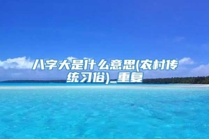 八字大是什么意思(农村传统习俗)_重复