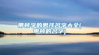 带顿字的男孩名字大全(带顿的名字)