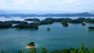 为什么算命只算到60岁(梅花易数竟然这么神奇)