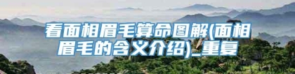 看面相眉毛算命图解(面相眉毛的含义介绍)_重复