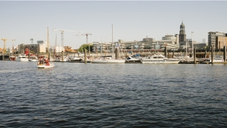 面相看财运(这几种面相的男人是有前途的潜力股)