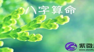 八字测算 生辰八字测算 你要的都在这