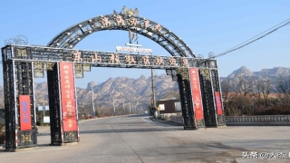 把东山的房子风水问题(树生风水宝地)