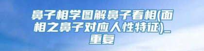 鼻子相学图解鼻子看相(面相之鼻子对应人性特征)_重复