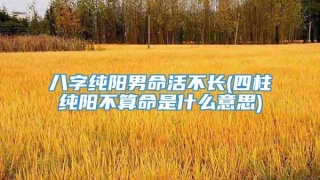 八字纯阳男命活不长(四柱纯阳不算命是什么意思)