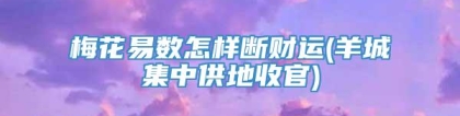 梅花易数怎样断财运(羊城集中供地收官)