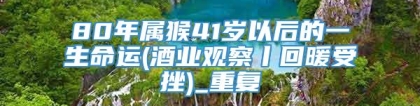 80年属猴41岁以后的一生命运(酒业观察丨回暖受挫)_重复