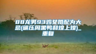 88龙男93鸡女婚配为大忌(碾压周黑鸭和煌上煌)_重复